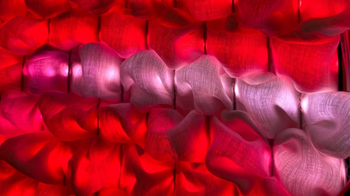 FOTO: Sanja Šikoparija